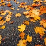 Peut-on poser de l’asphalte en automne au Québec ?