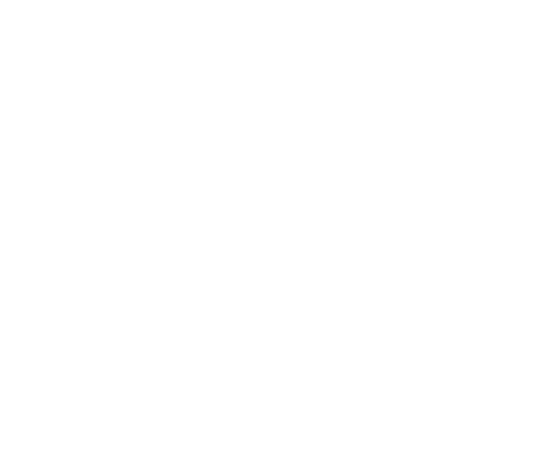 Icône représentant un bouclier, montrant l’année de fondation 1962